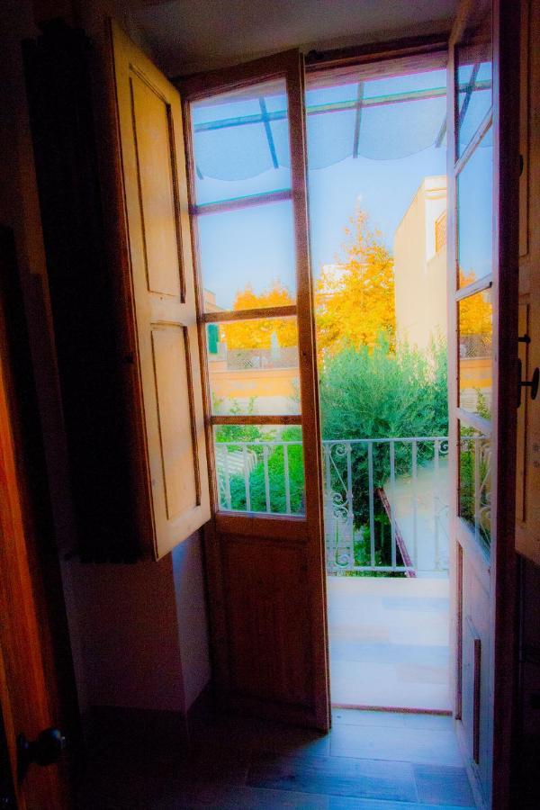 "Sea & Center" Free Beach, Wifi, Mini Pool, Roof Terrace, Ladispoli, Rome Ngoại thất bức ảnh